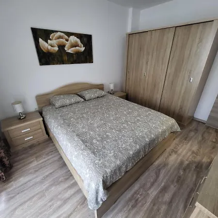 Apartament Alexader ナボダリ